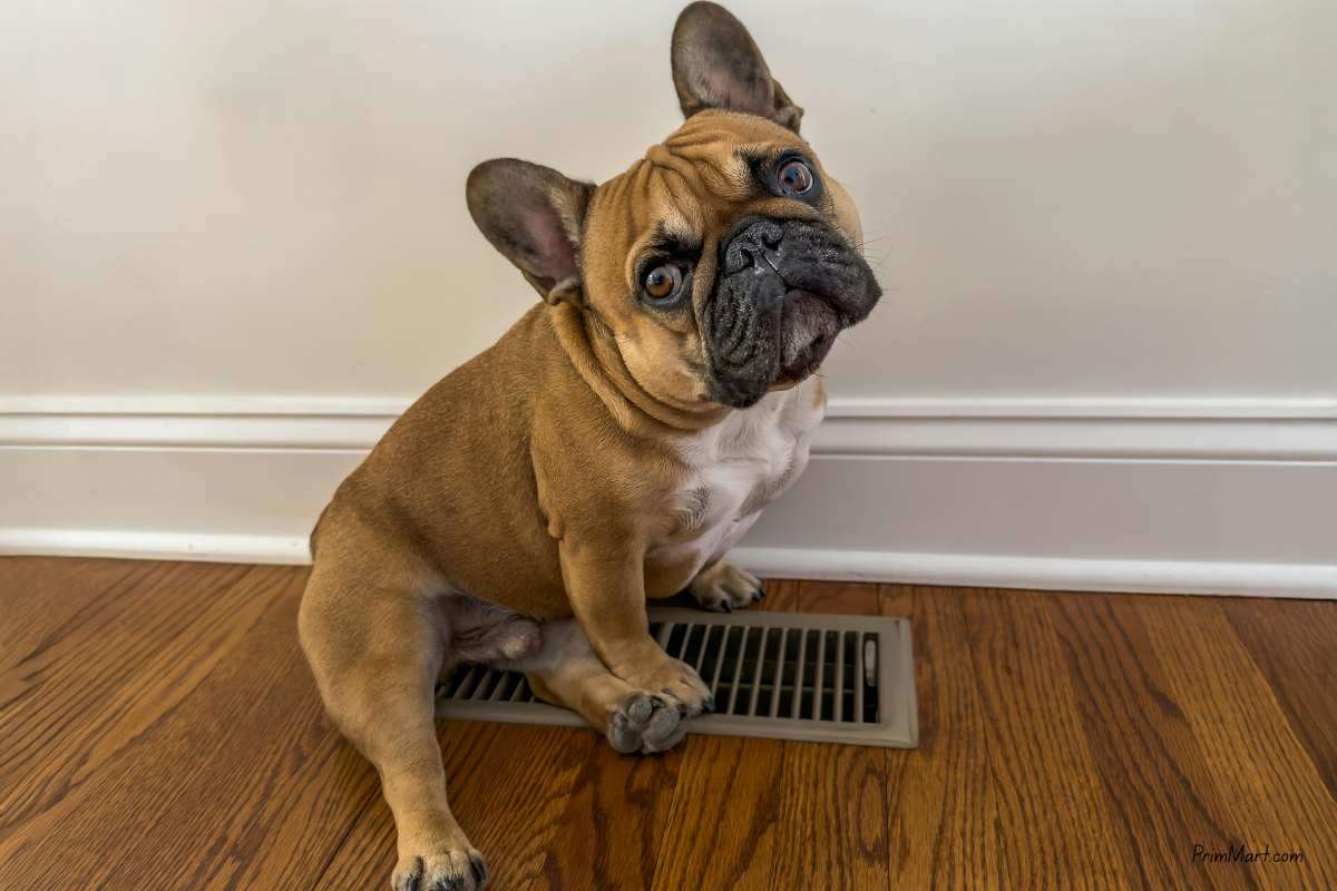 Home Upgrades That Help Keep Fremont Homes Cooler