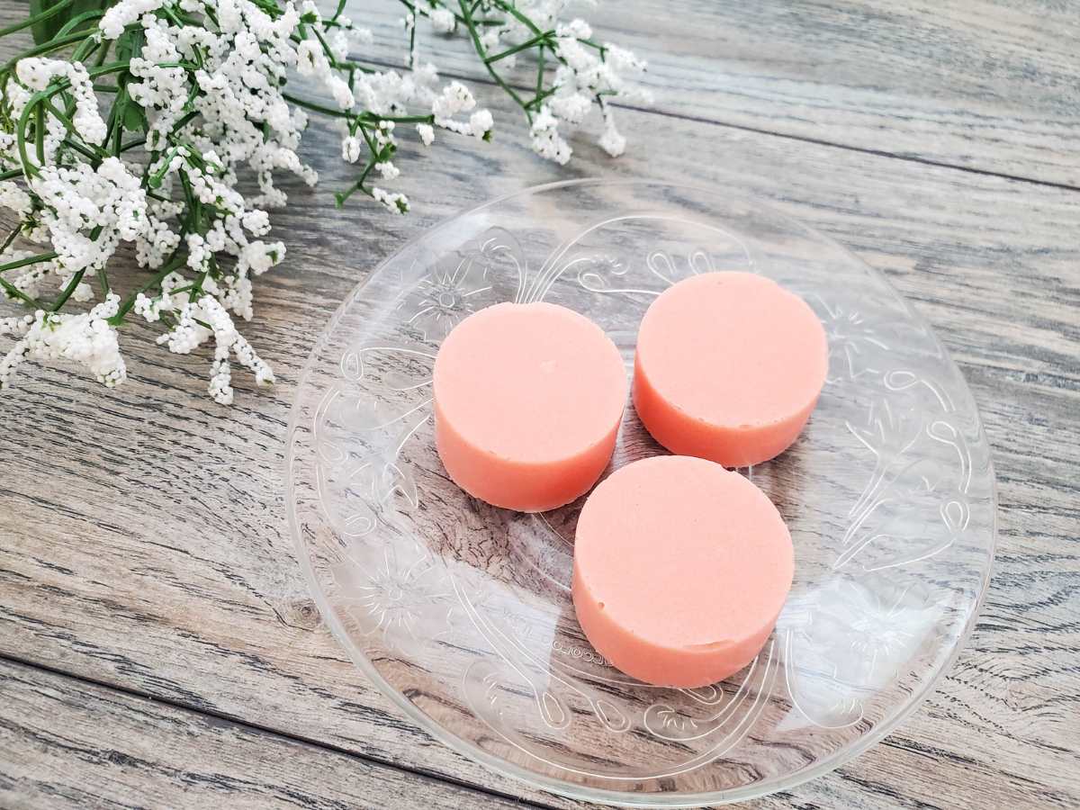 Watermelon Sugar Scrub Bars Recipe