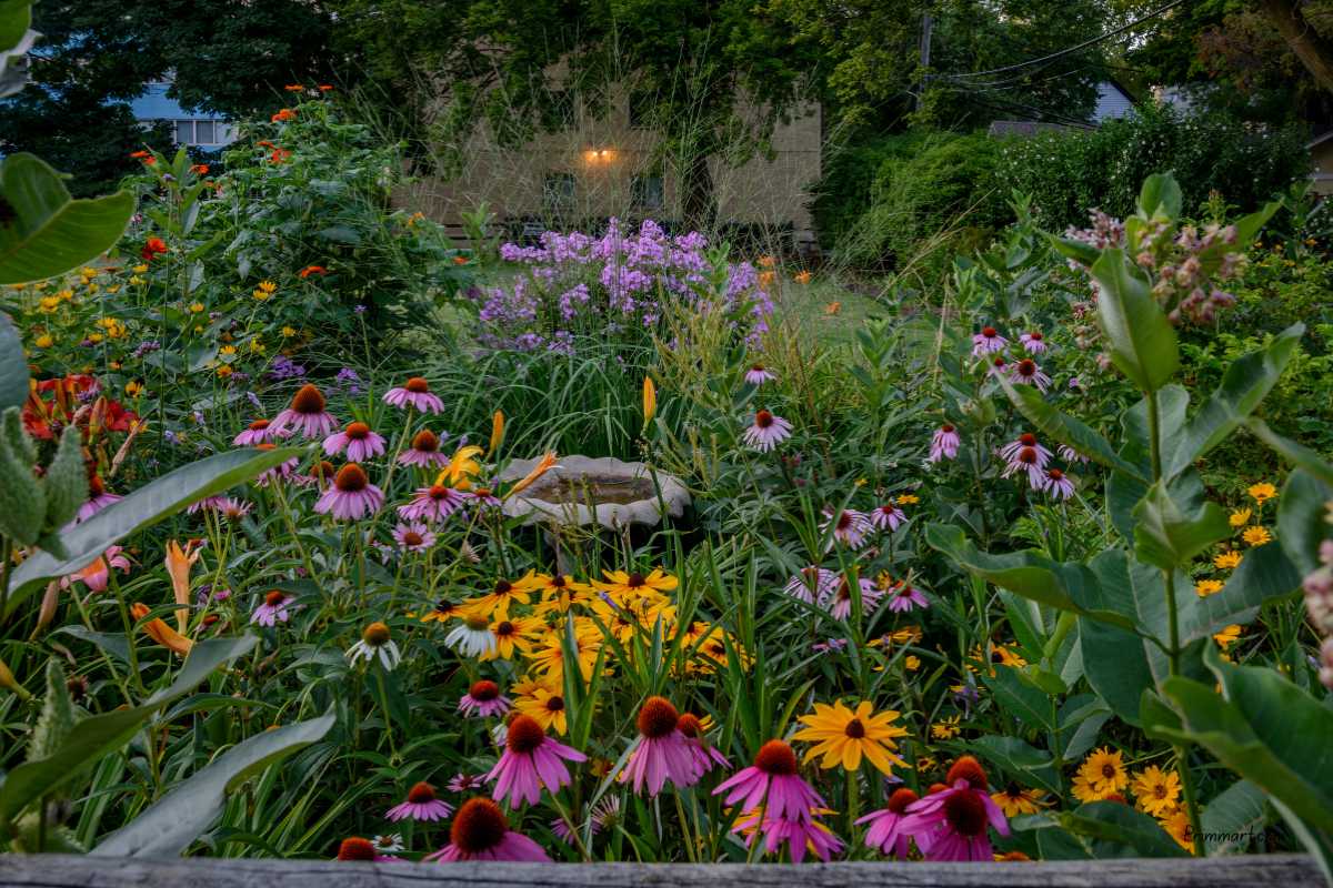 Easy-Care Perennials That Come Back Every Year: 15 Beautiful Flowers for a Low-Maintenance Garden