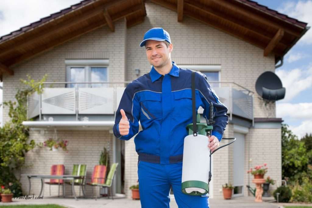 How Seasonal Changes Impact Your Home Pest Control